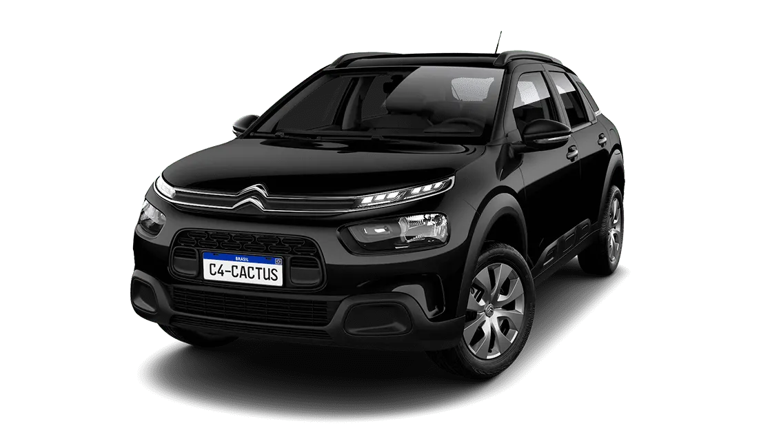 Monte o seu Novo C4 Cactus Citro n
